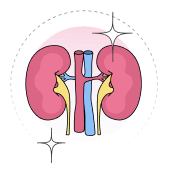 Nephrology